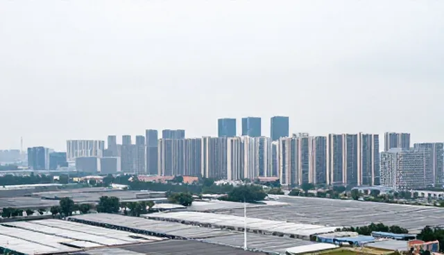 企业信息化方案在性能与适用条件中的实际问题分析